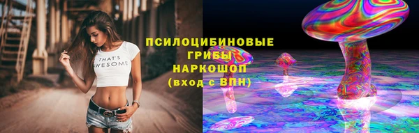 гашик Анива