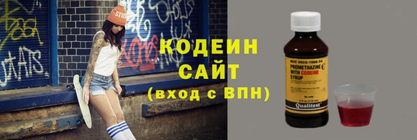 гашик Аркадак