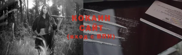 гашик Аркадак