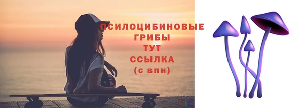 гашик Аркадак