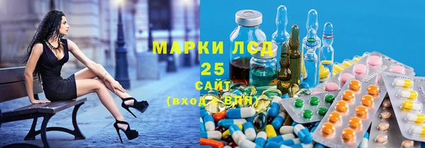 стаф Арсеньев