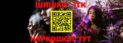 гашик Камышлов
