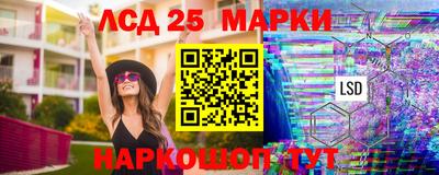 гашик Камышлов