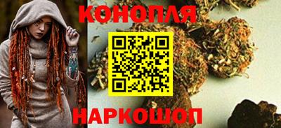 гашик Камышлов