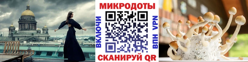 OMG ONION  Изобильный  Галлюциногенные грибы прущие грибы 
