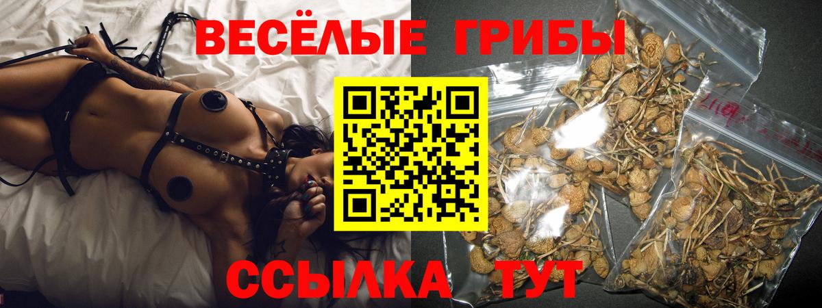 Галлюциногенные грибы MAGIC MUSHROOMS  Вход с VPN  Псилоцибиновые грибы GOLDEN TEACHER  Изобильный 