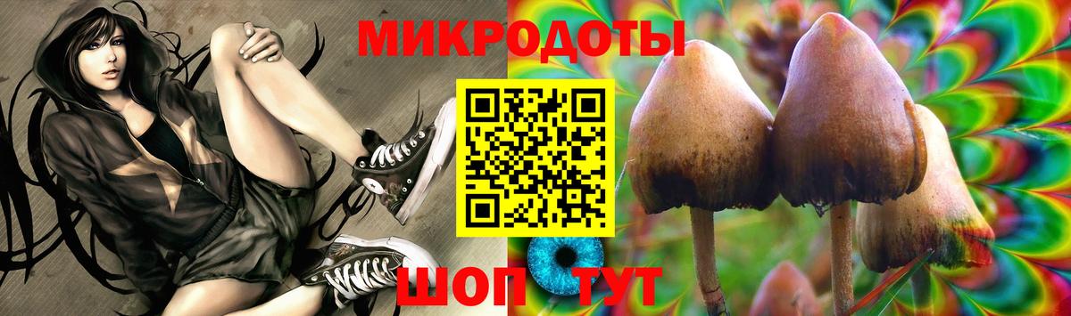 Псилоцибиновые грибы Psilocybe Изобильный